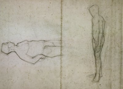 Young Nude by Amedeo Modigliani