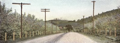 Oregon: A Road in Hood River Valley by American Photographer (after)