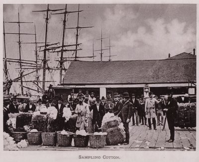 Sampling Cotton by American Photographer (after)