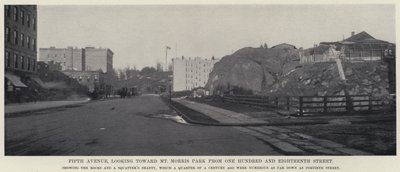 Fifth Avenue, looking toward Mt Morris Park from One Hundred and Eighteenth Street by American Photographer