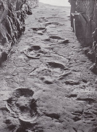 Fossilised Mammoth Footprints, Carson City, Nevada, USA by American Photographer