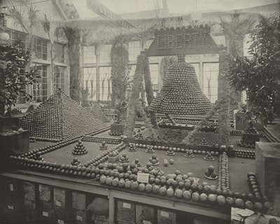 Liberty Bell in Oranges by American Photographer