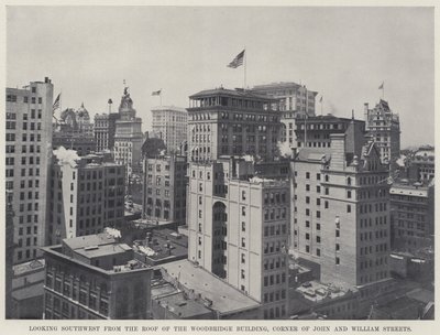 Looking Southwest from the Roof of the Woodbridge Building, Corner of John and William Streets by American Photographer