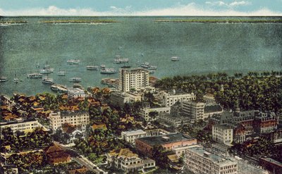Miami, Florida, c 1925: Bird