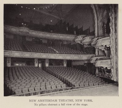 New Amsterdam Theatre, New York by American Photographer