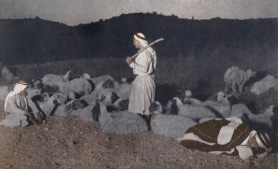 Palestinian shepherds watching their flock by night by American Photographer