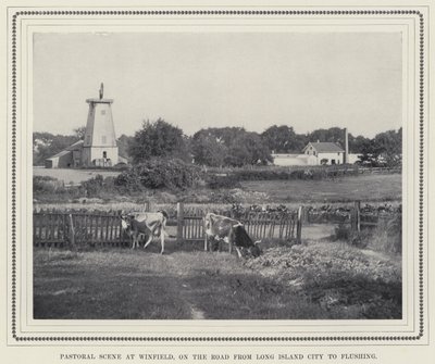 Pastoral Scene at Winfield, on the Road from Long Island City to Flushing by American Photographer