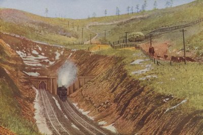 Raton Tunnel, Highest Point on the Santa Fe by American Photographer