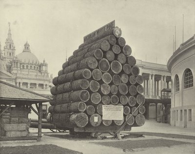 The Fifty Saw-Logs by American Photographer