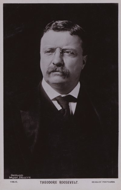 Theodore Roosevelt, American Politician and 26th President of the United States by American Photographer