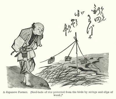 A Japanese Farmer, Seed-beds of rice protected from the birds by strings and slips of wood by American School