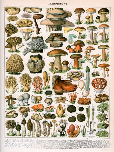 Decorative Print of 