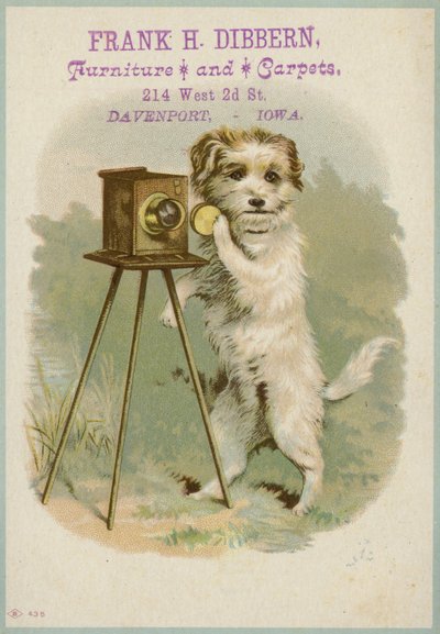 Dog with a Camera by American School