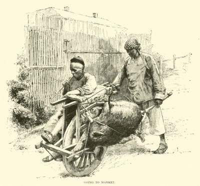 Going to market by American School