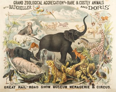 Grand Zoological Aggregation of Rare and Costly Animals with Batcheller and Doris by American School