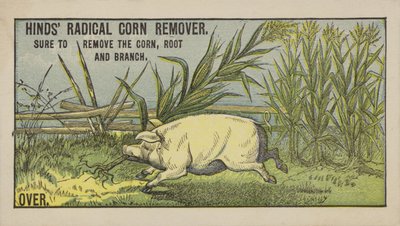 Hog Pulling Over Corn by American School