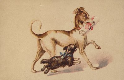Large and Small Dog Running by American School