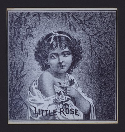 Little Rose, cigar label by American School