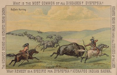Native Americans Hunting Buffalo by American School