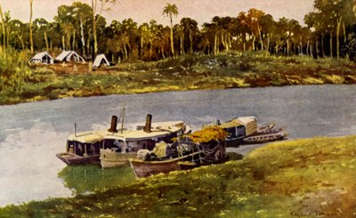 On the Upper Amazon by American School