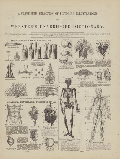 Page from Webster
