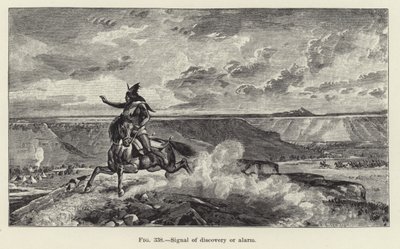 Signal of Discovery or Alarm by American School