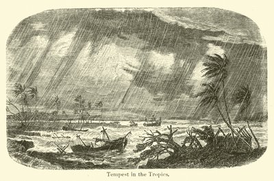 Tempest in the Tropics by American School
