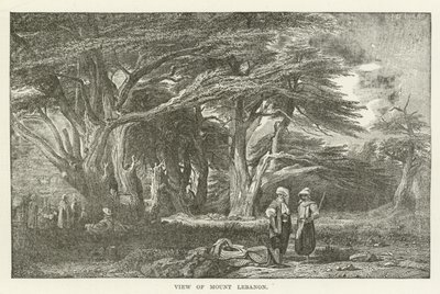 View of Mount Lebanon by American School