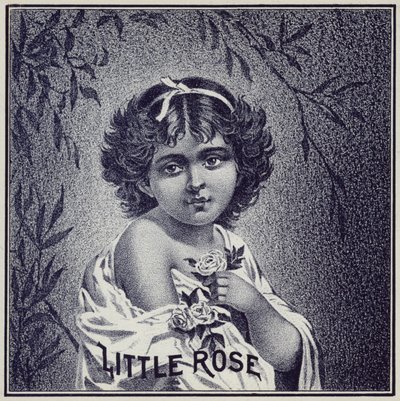 Young Girl Holding Roses by American School