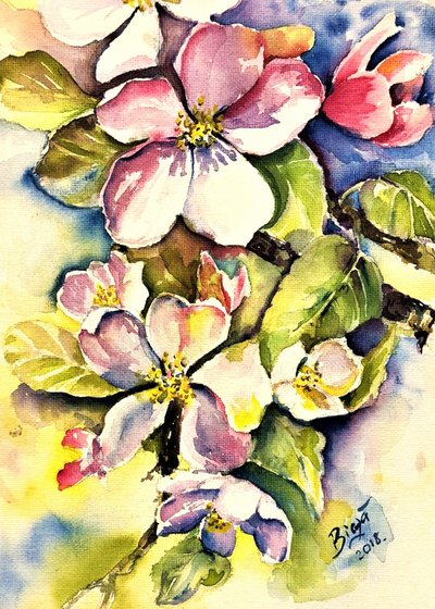 Spring Apple Blossoms by Anda Bieza