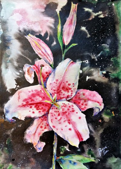 Stargazer Lilies Night by Anda Bieza