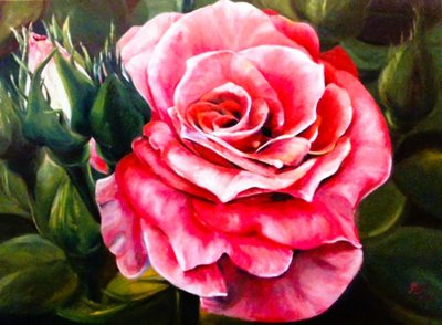 Vibrant Pink Rose Bloom by Anda Bieza