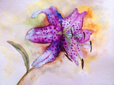 Vibrant Spotted Lily Bloom by Anda Bieza