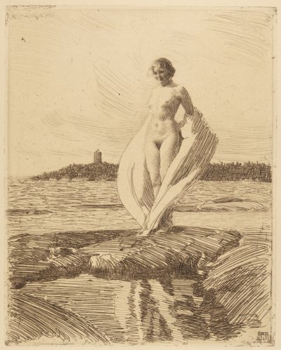The Swan by Anders Leonard Zorn