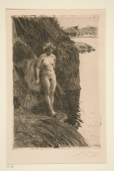 Precipice by Anders Leonard Zorn