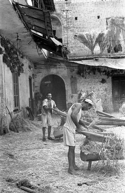Hemp Processing, The Batching by Ando Gilardi
