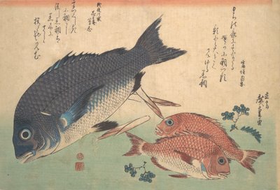 Kurodai and Kodai Fish with Bamboo Shoots and Berries, from the series Uozukushi Every V by Ando Hiroshige