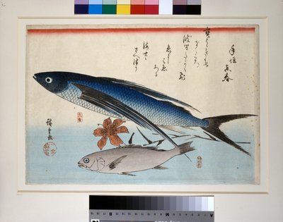 Flying Fish, Ishimochi Fish and Lily by Ando or Utagawa Hiroshige