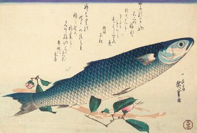 Grey mullet, Camellia and Udo by Ando or Utagawa Hiroshige