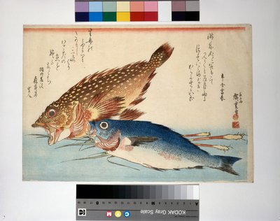 Scorpion Fish and Isaki Fish with Root Ginger by Ando or Utagawa Hiroshige