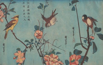 Titmouse and Camellias, Sparrow and Wild Roses and Black-naped Oriole and Cherry Blossoms, c.1833 by Ando or Utagawa Hiroshige