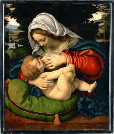 La Vierge au coussin vert by Andrea Solario