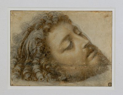 Head of Saint John the Baptist by Andrea Solario
