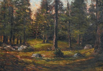 The Clearing by Andrea Tavernier