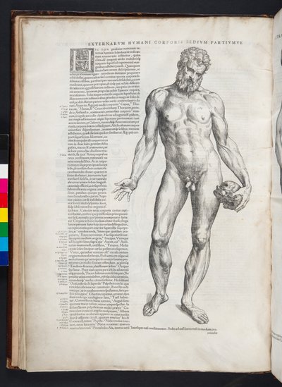 Hercules, illustration from 