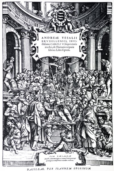 Title Page to the Second Edition of the De Humani Corporis Fabrica, Plate 3 by Andreas Vesalius