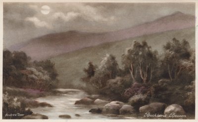 Dartmoor: Buckland Beacon by Andrew Beer