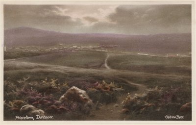 Princetown, Dartmoor by Andrew Beer
