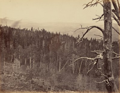 Plate 13. Snow and Timber Line, Laramie Mountains, 1869 by Andrew Joseph Russell