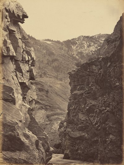 Plate 40. Devil